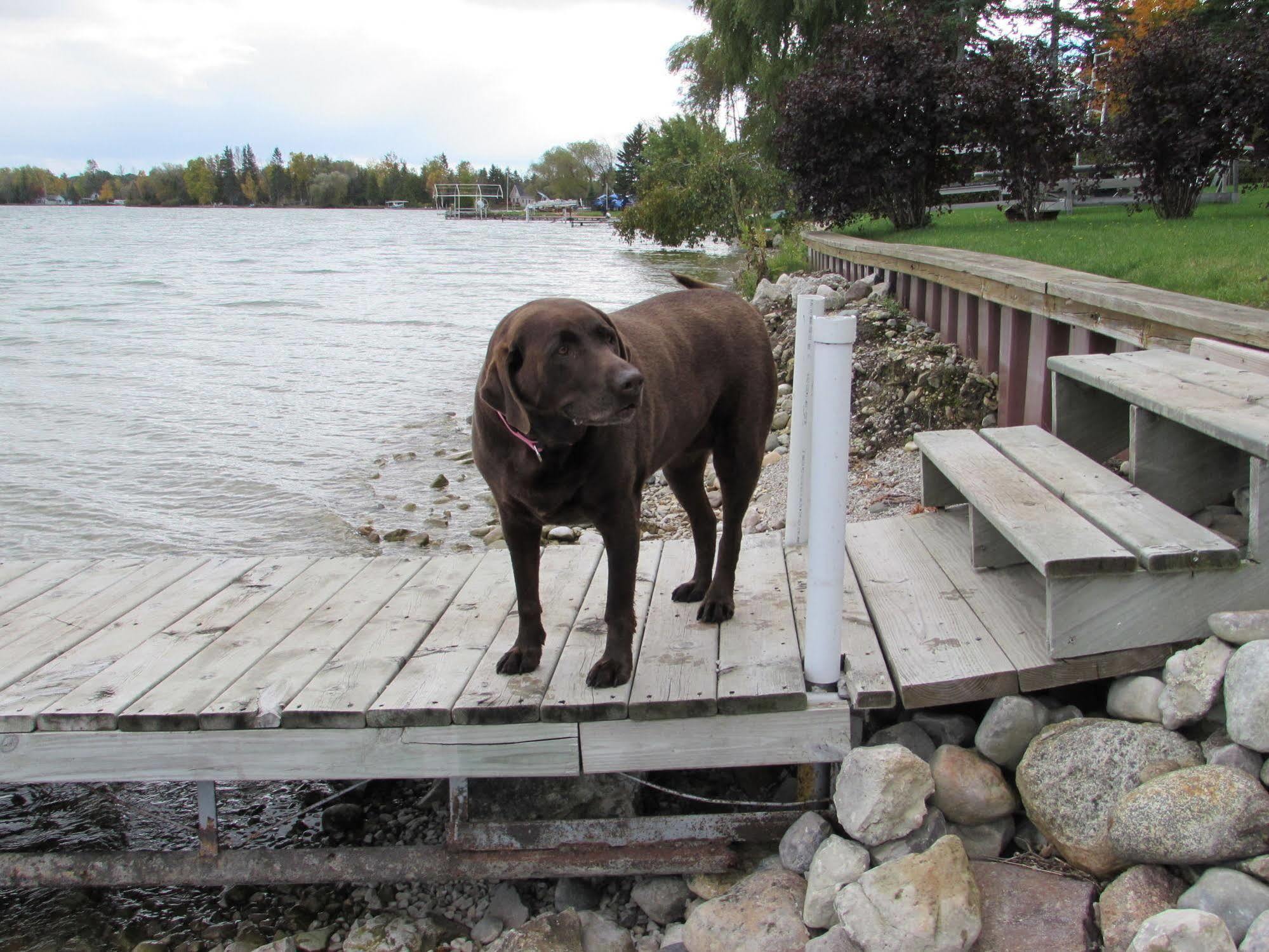 Grand Lake Resort Presque Isle ภายนอก รูปภาพ